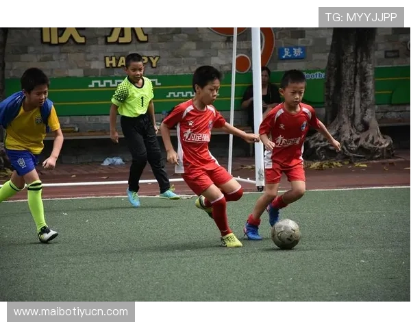 天马体育在青少年体育培训中取得显著成效推动校园体育普及