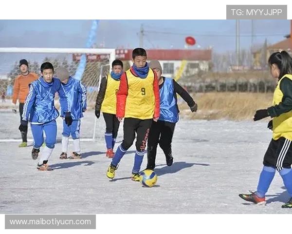 海星直播体育在青少年体育教育与普及中的应用潜力分析