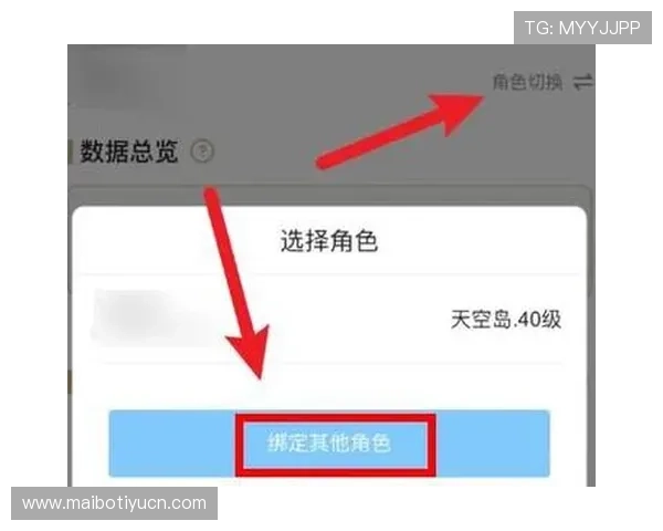 B体育登录遇到问题怎么办？详细步骤教你快速排查与解决登录难题